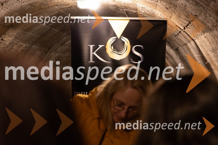 Vinska pot v rovih pod starim Kranjem 2023, petek