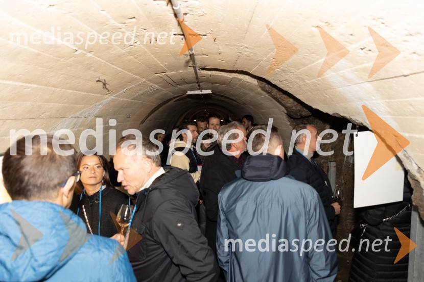 Vinska pot v rovih pod starim Kranjem 2023, petek