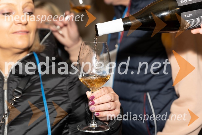 Vinska pot v rovih pod starim Kranjem 2023, petek