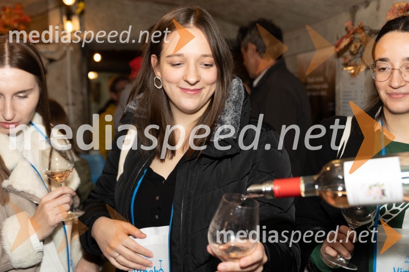 Vinska pot v rovih pod starim Kranjem 2023, petek