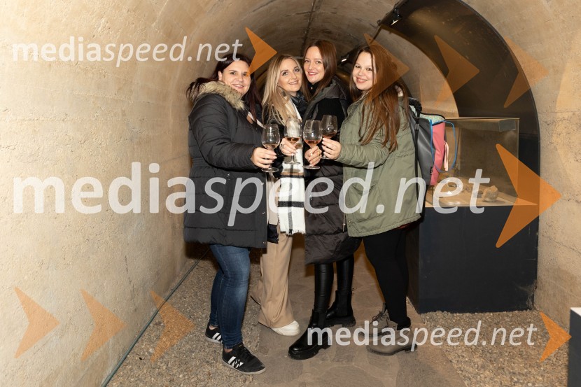 Vinska pot v rovih pod starim Kranjem 2023, petek