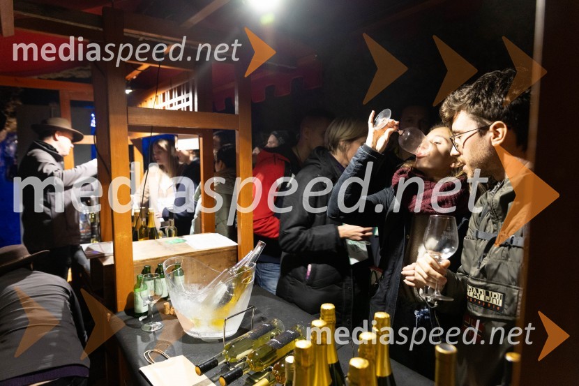 Vinska pot v rovih pod starim Kranjem 2023, petek