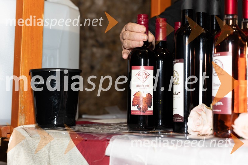 Vinska pot v rovih pod starim Kranjem 2023, petek