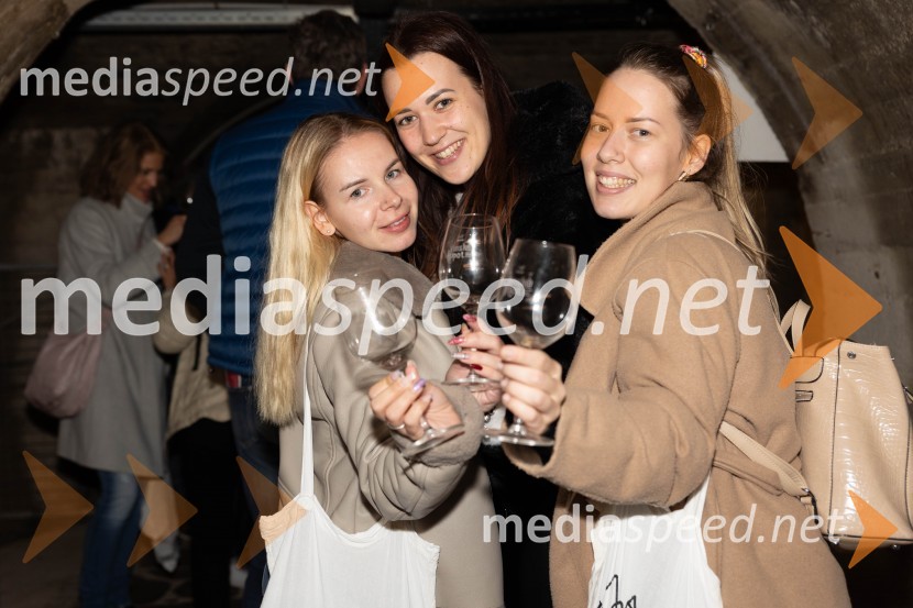 Vinska pot v rovih pod starim Kranjem 2023, petek