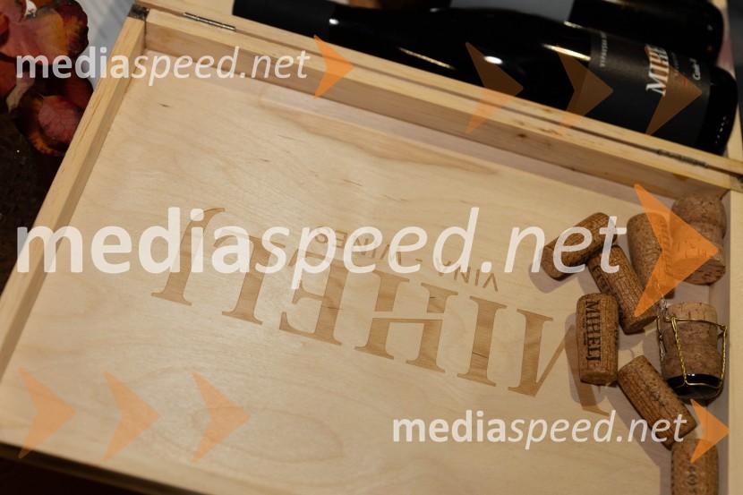 Vinska pot v rovih pod starim Kranjem 2023, petek