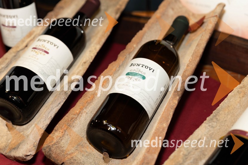 Vinska pot v rovih pod starim Kranjem 2023, petek