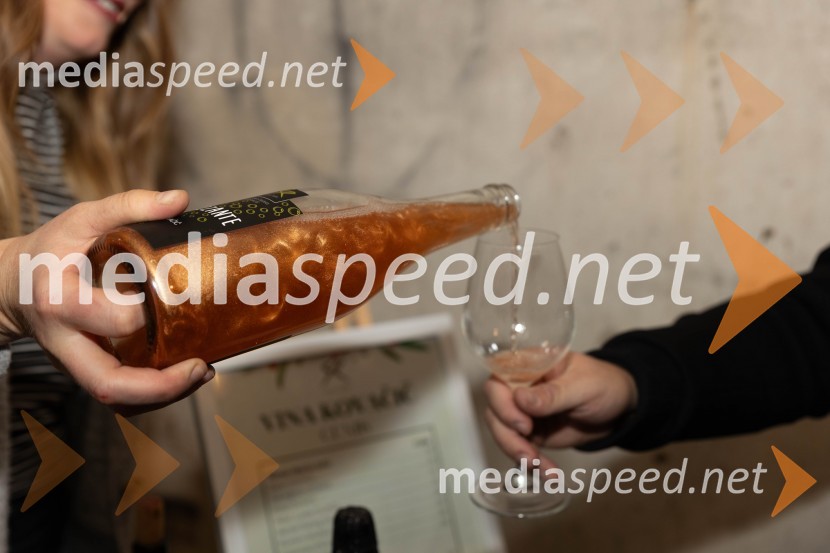 Vinska pot v rovih pod starim Kranjem 2023, petek