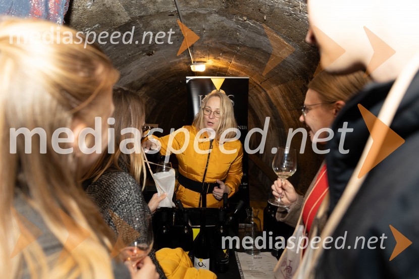 Vinska pot v rovih pod starim Kranjem 2023, petek