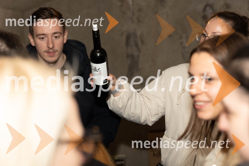 Vinska pot v rovih pod starim Kranjem 2023, petek