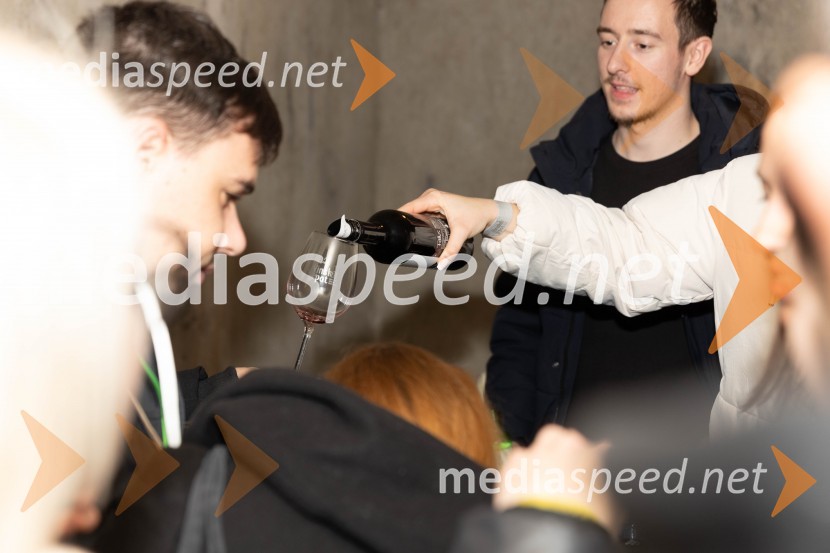 Vinska pot v rovih pod starim Kranjem 2023, petek