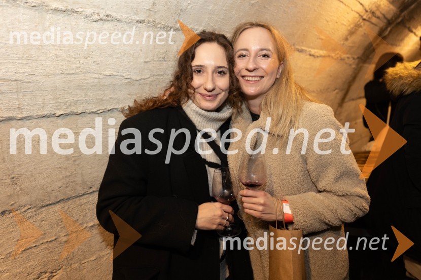 Vinska pot v rovih pod starim Kranjem 2023, petek