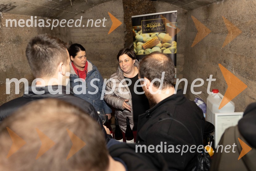 Vinska pot v rovih pod starim Kranjem 2023, petek