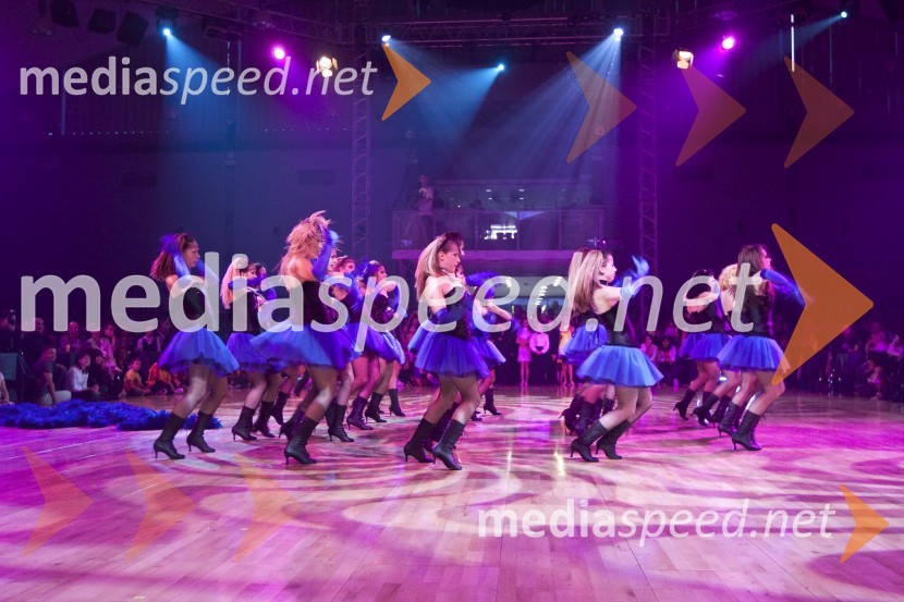 Plesna formacija pod vodstvom Azre SelimanovičDržavno prvenstvo v latinskoameriških plesih in podelitev nagrad Povodni mož 2008