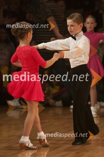 Državno prvenstvo v latinskoameriških plesih in podelitev nagrad Povodni mož 2008