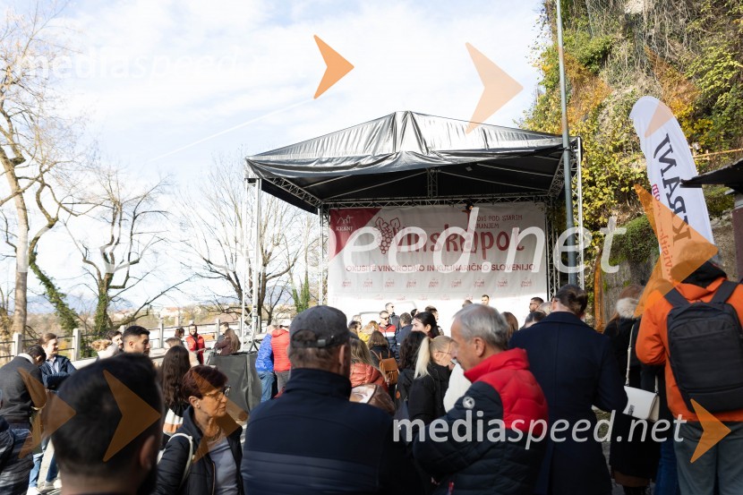 Vinska pot v rovih pod starim Kranjem 2023, sobota