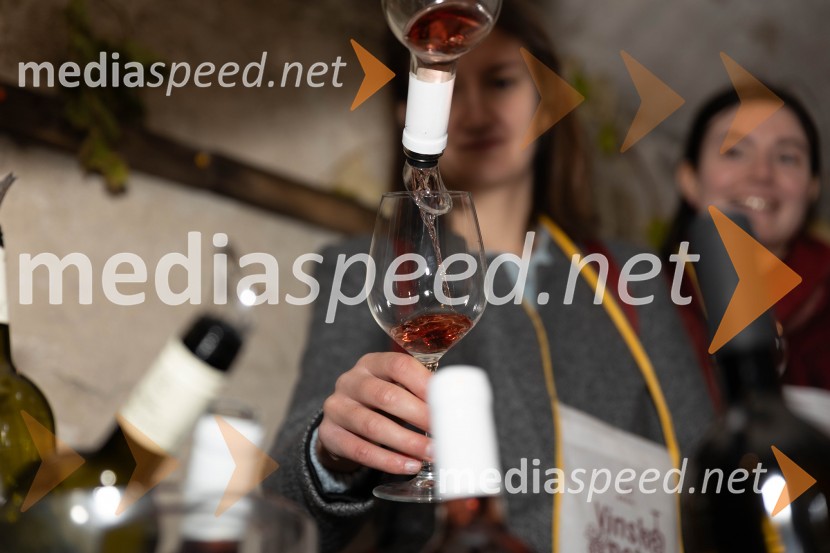 Vinska pot v rovih pod starim Kranjem 2023, sobota