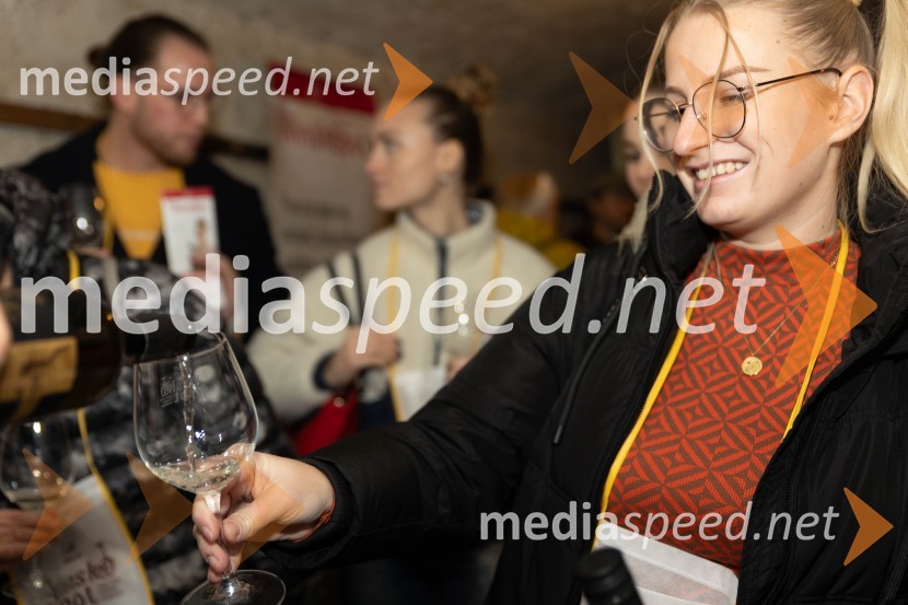 Vinska pot v rovih pod starim Kranjem 2023, sobota