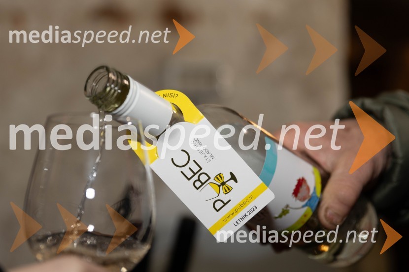 Vinska pot v rovih pod starim Kranjem 2023, sobota