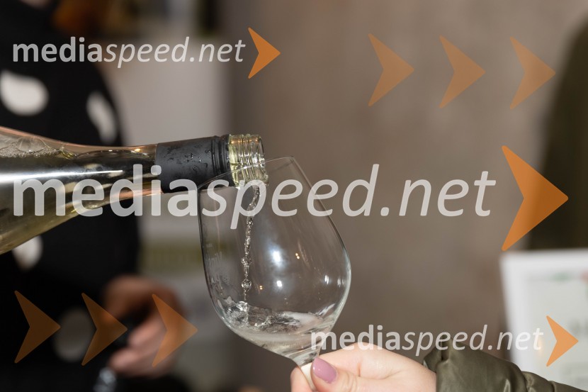 Vinska pot v rovih pod starim Kranjem 2023, sobota