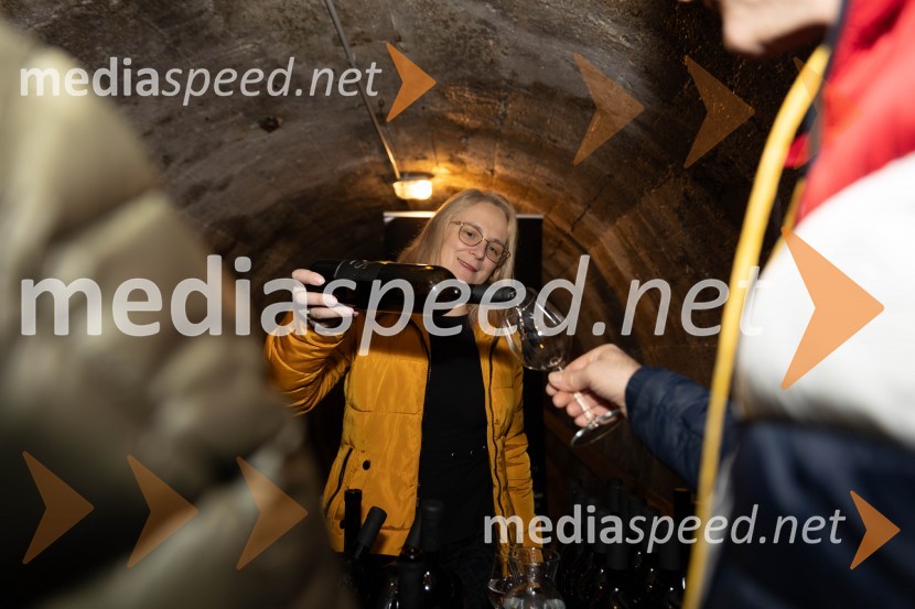 Vinska pot v rovih pod starim Kranjem 2023, sobota