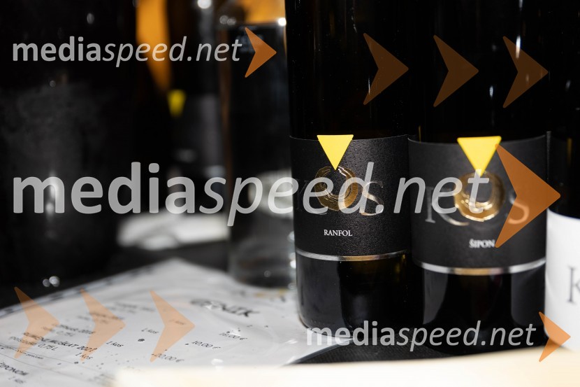 Vinska pot v rovih pod starim Kranjem 2023, sobota