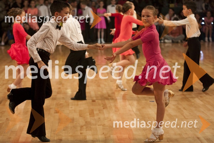 Državno prvenstvo v latinskoameriških plesih in podelitev nagrad Povodni mož 2008