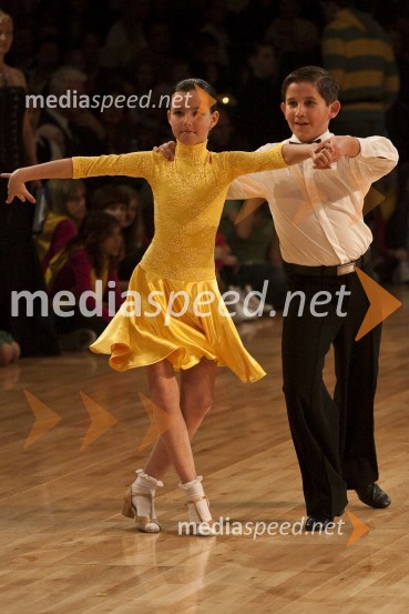 Državno prvenstvo v latinskoameriških plesih in podelitev nagrad Povodni mož 2008