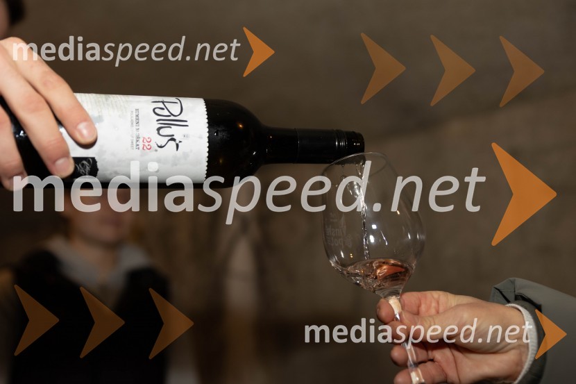 Vinska pot v rovih pod starim Kranjem 2023, sobota