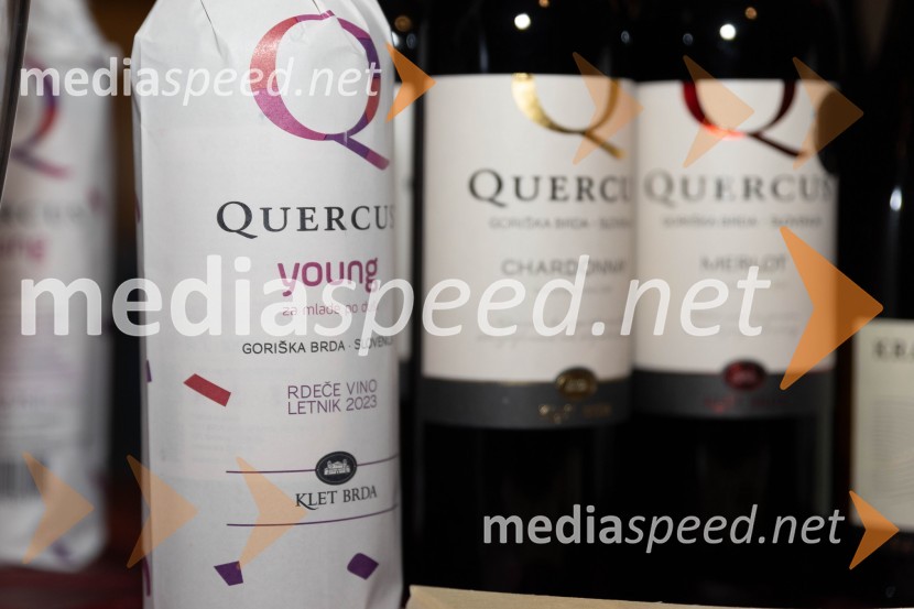 Vinska pot v rovih pod starim Kranjem 2023, sobota