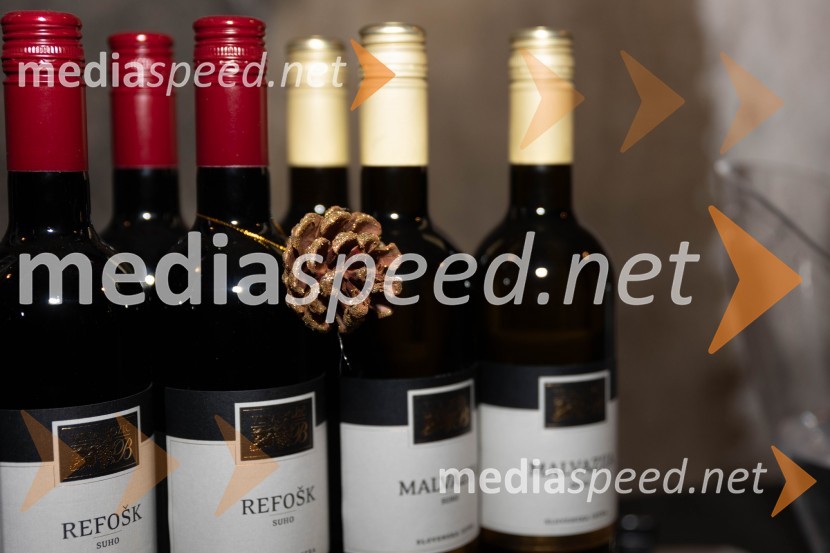 Vinska pot v rovih pod starim Kranjem 2023, sobota