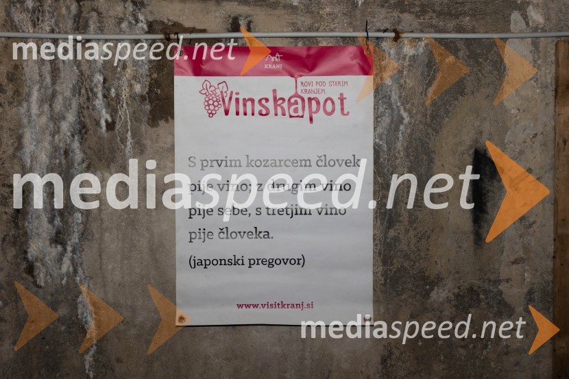 Vinska pot v rovih pod starim Kranjem 2023, sobota