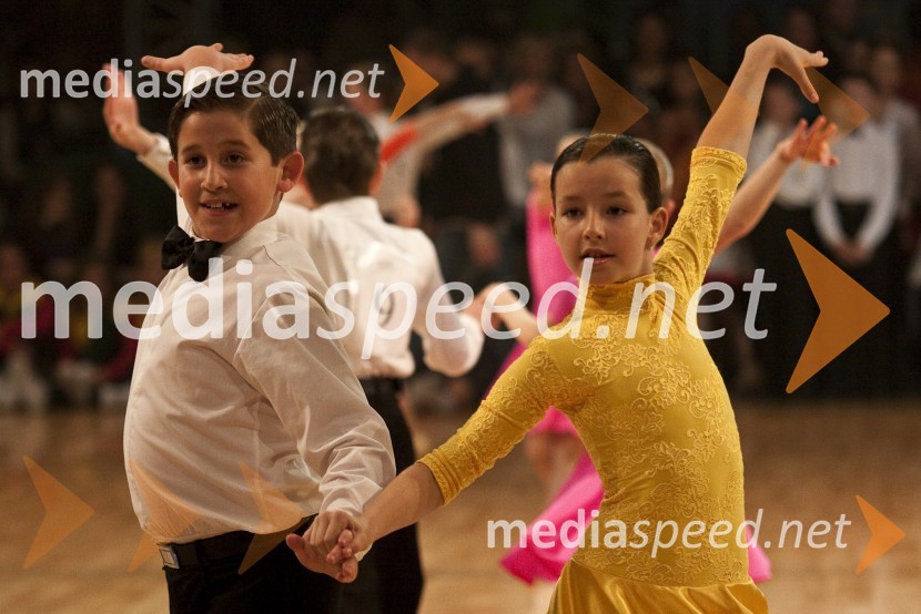 Državno prvenstvo v latinskoameriških plesih in podelitev nagrad Povodni mož 2008