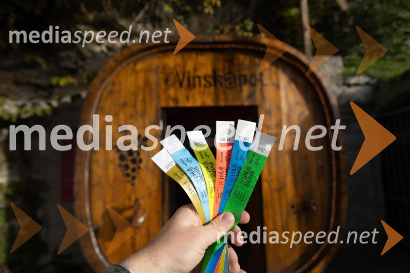 Vinska pot v rovih pod starim Kranjem 2023, sobota