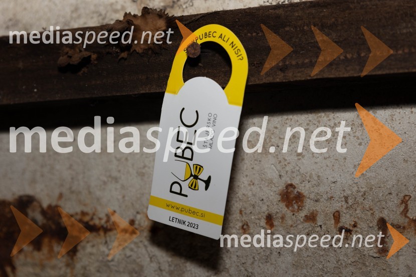 Vinska pot v rovih pod starim Kranjem 2023, sobota