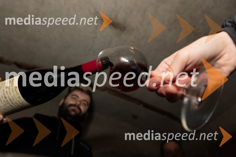 Vinska pot v rovih pod starim Kranjem 2023, sobota