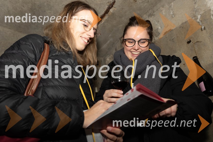 Vinska pot v rovih pod starim Kranjem 2023, sobota