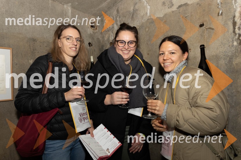 Vinska pot v rovih pod starim Kranjem 2023, sobota