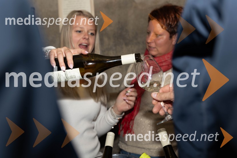 Vinska pot v rovih pod starim Kranjem 2023, sobota