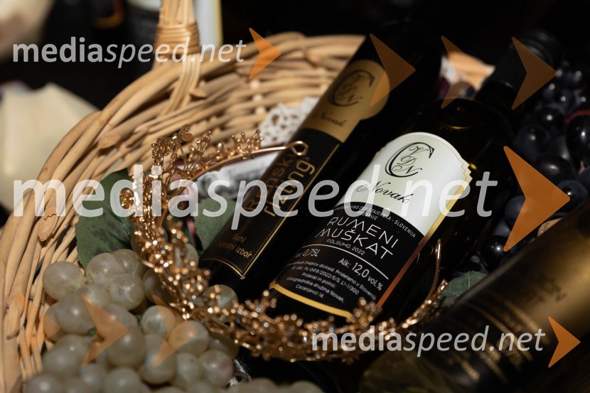 Vinska pot v rovih pod starim Kranjem 2023, sobota