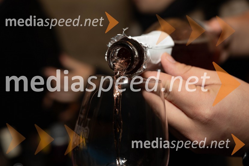 Vinska pot v rovih pod starim Kranjem 2023, sobota