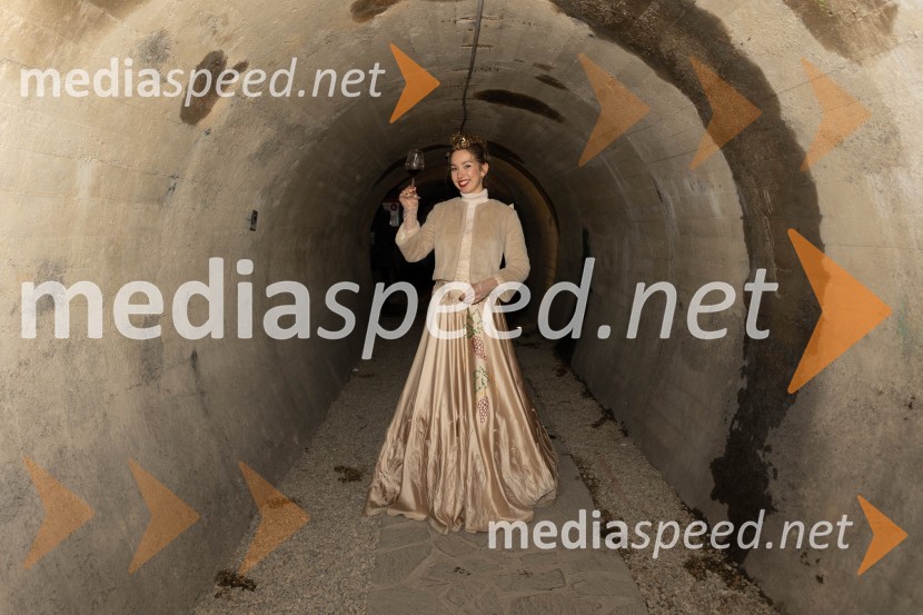 Vinska pot v rovih pod starim Kranjem 2023, sobota