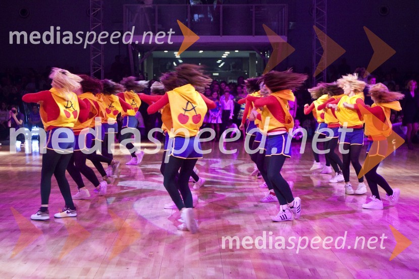 Plesna formacija pod vodstvom Azre SelimanovičDržavno prvenstvo v latinskoameriških plesih in podelitev nagrad Povodni mož 2008