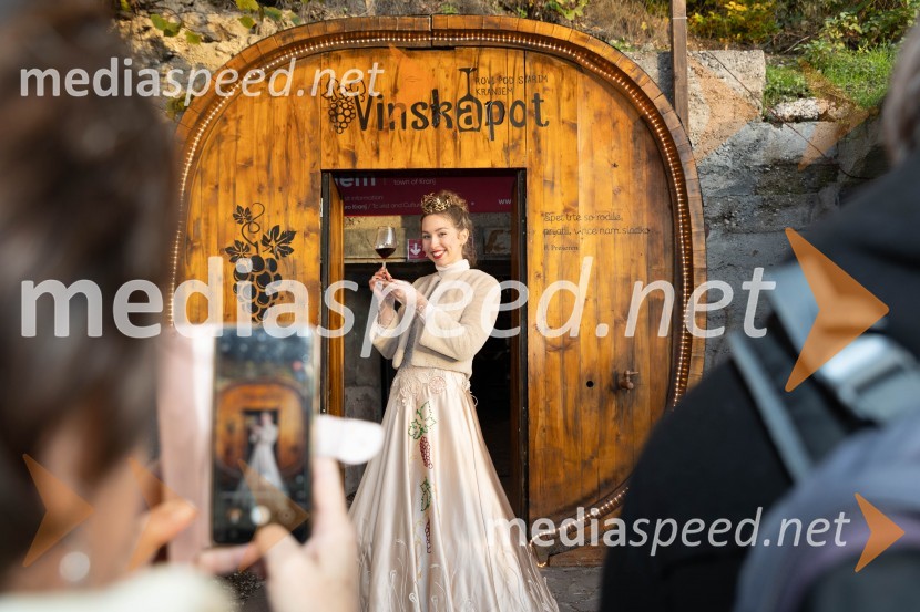 Vinska pot v rovih pod starim Kranjem 2023, sobota