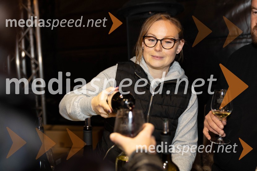 Vinska pot v rovih pod starim Kranjem 2023, sobota