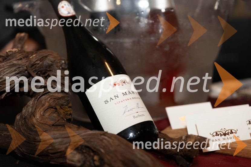 Vinska pot v rovih pod starim Kranjem 2023, sobota