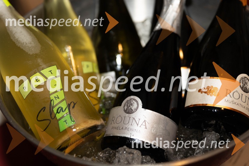 Vinska pot v rovih pod starim Kranjem 2023, sobota