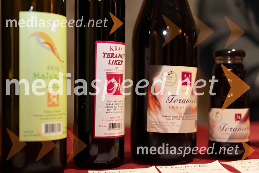 Vinska pot v rovih pod starim Kranjem 2023, sobota