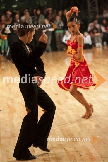 Državno prvenstvo v latinskoameriških plesih in podelitev nagrad Povodni mož 2008
