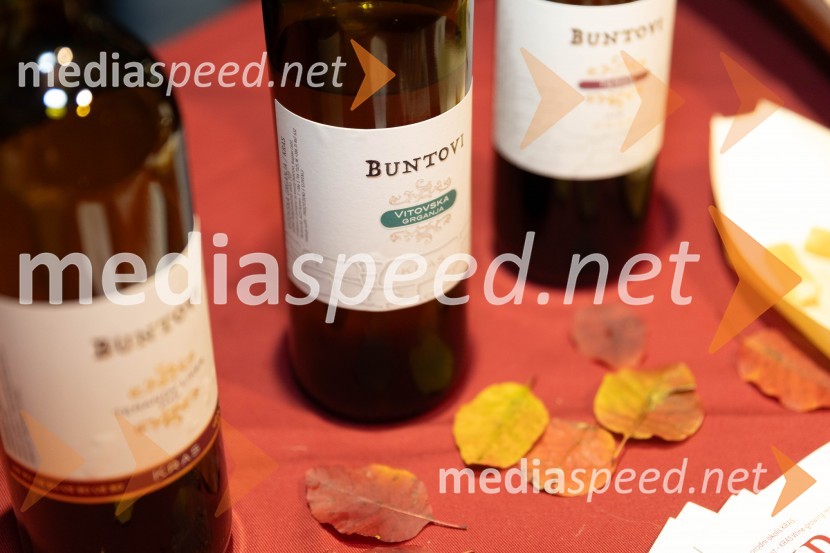 Vinska pot v rovih pod starim Kranjem 2023, sobota