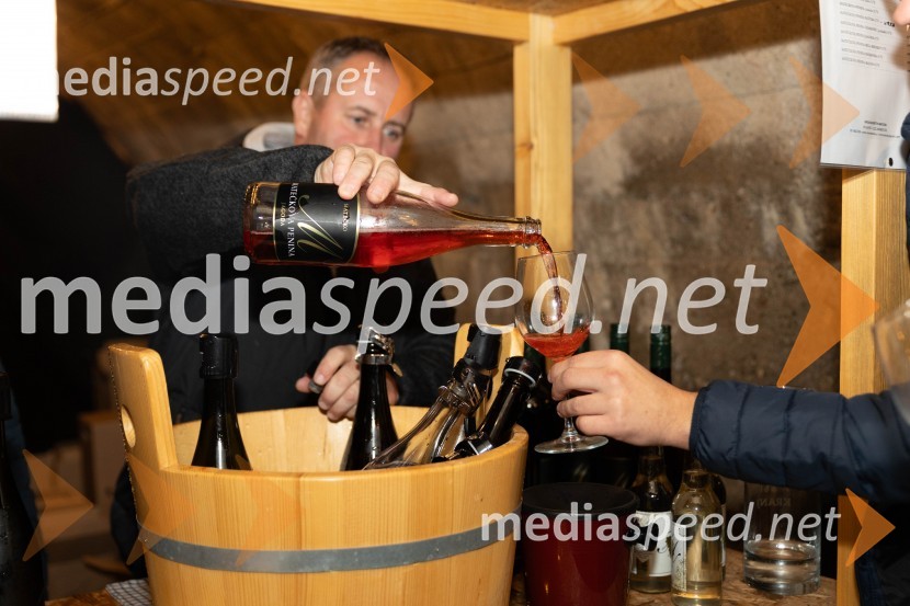 Vinska pot v rovih pod starim Kranjem 2023, sobota